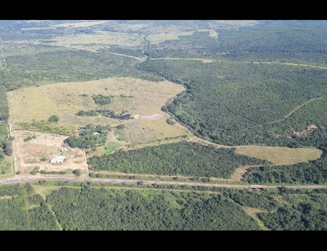 FARM FOR SALE IN LOUIS TRICHARDT RURAL